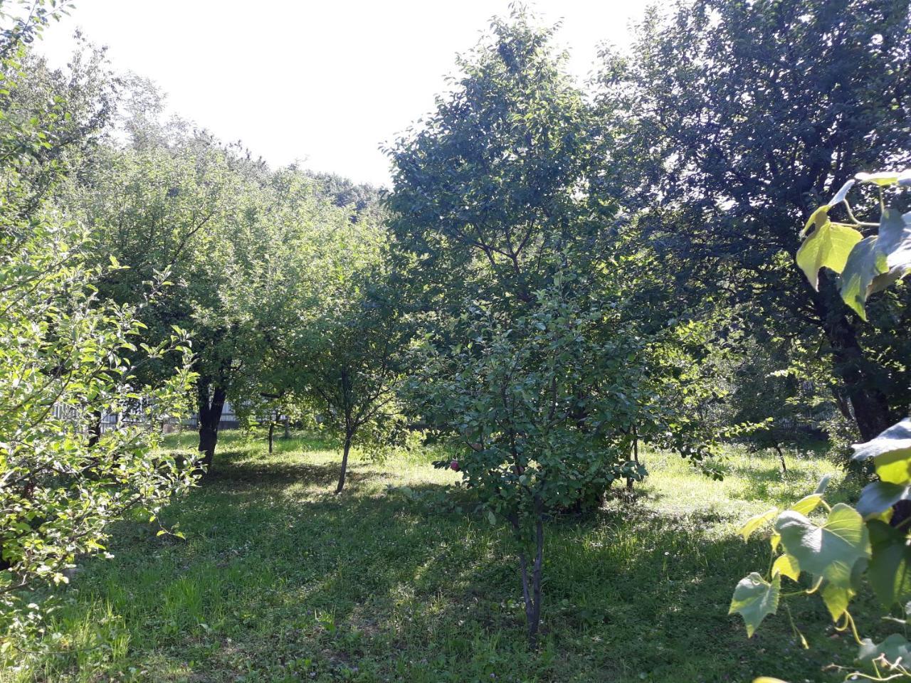Котедж "Лісовий Затишок" Glubokoye Bagian luar foto