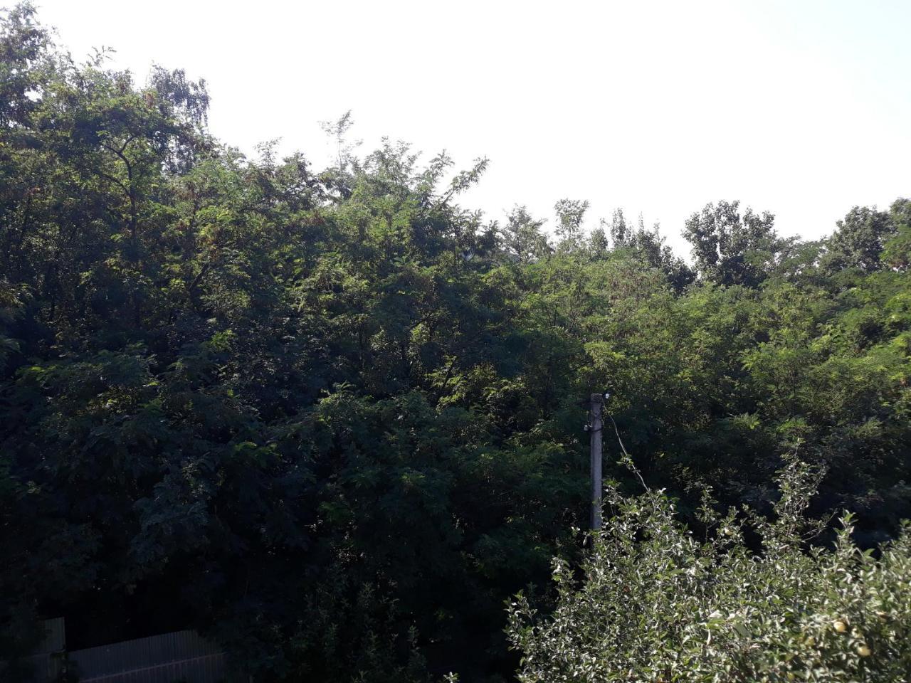 Котедж "Лісовий Затишок" Glubokoye Bagian luar foto