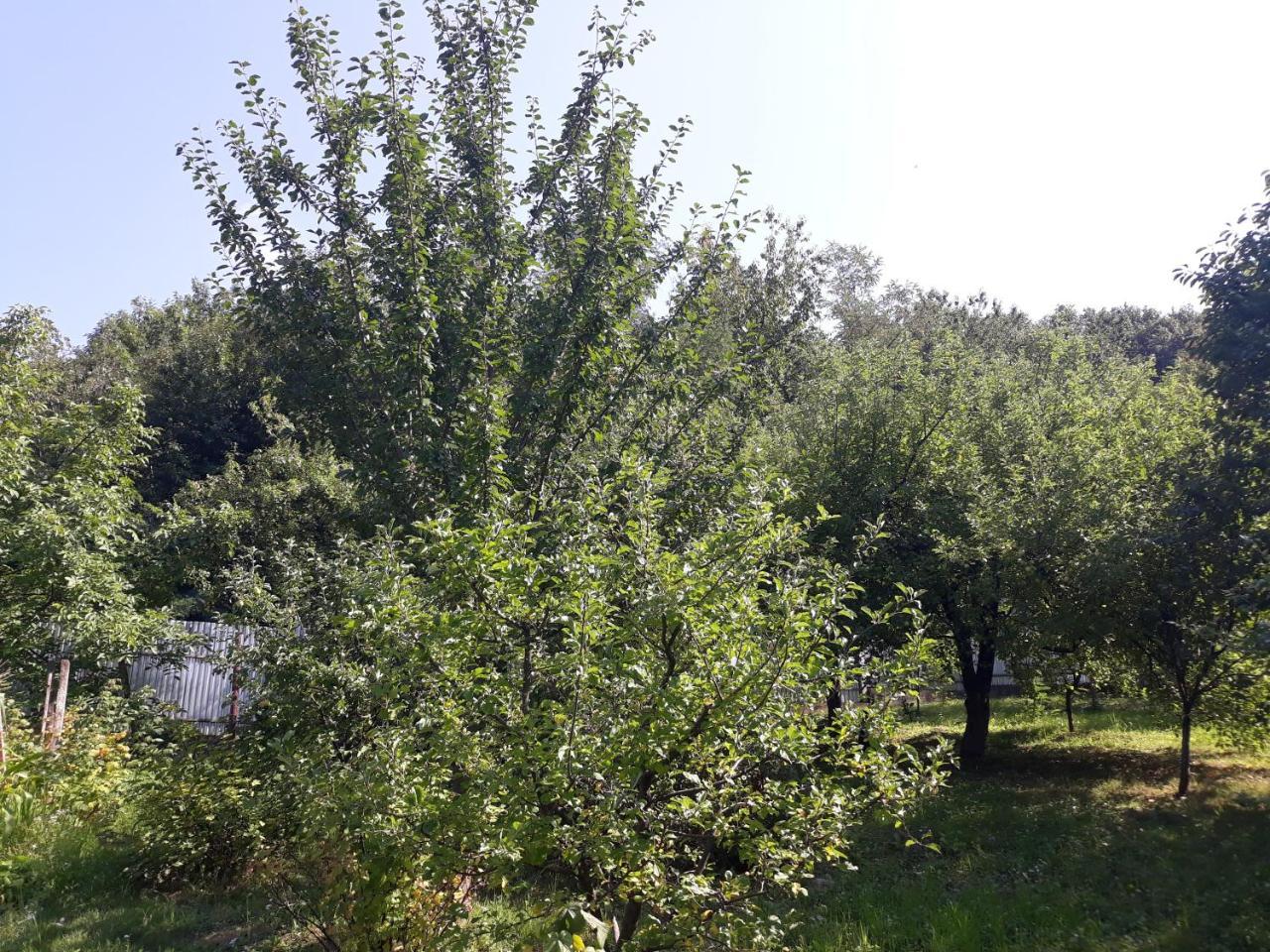 Котедж "Лісовий Затишок" Glubokoye Bagian luar foto